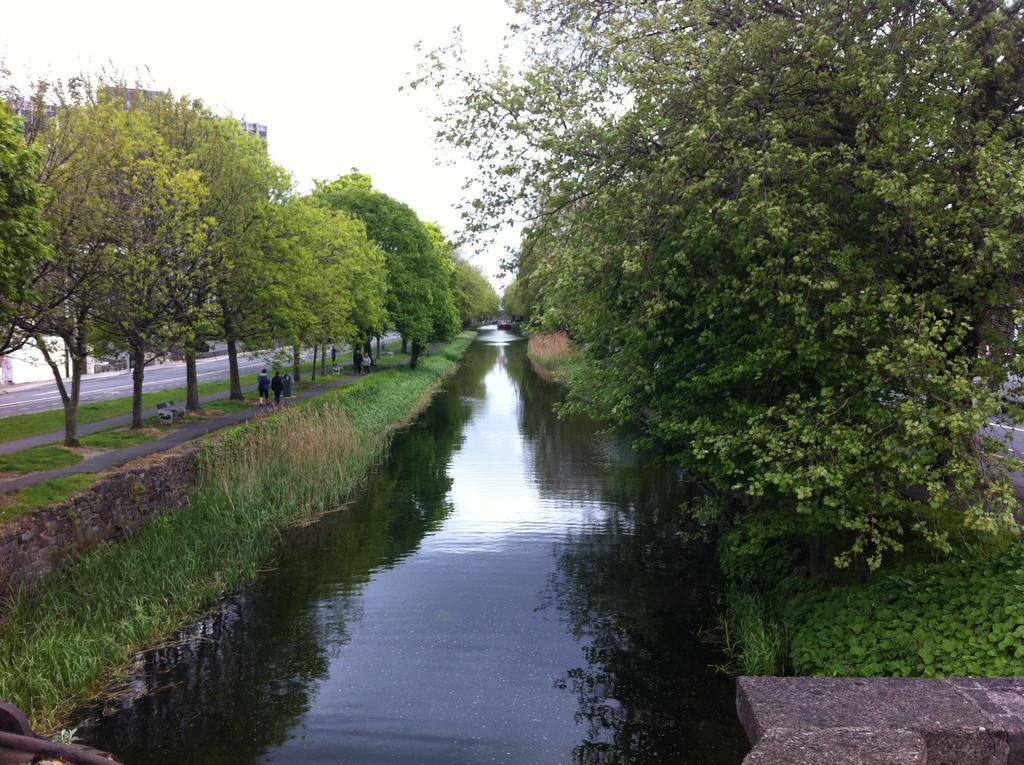 Leeson Apartments Dublin Zewnętrze zdjęcie